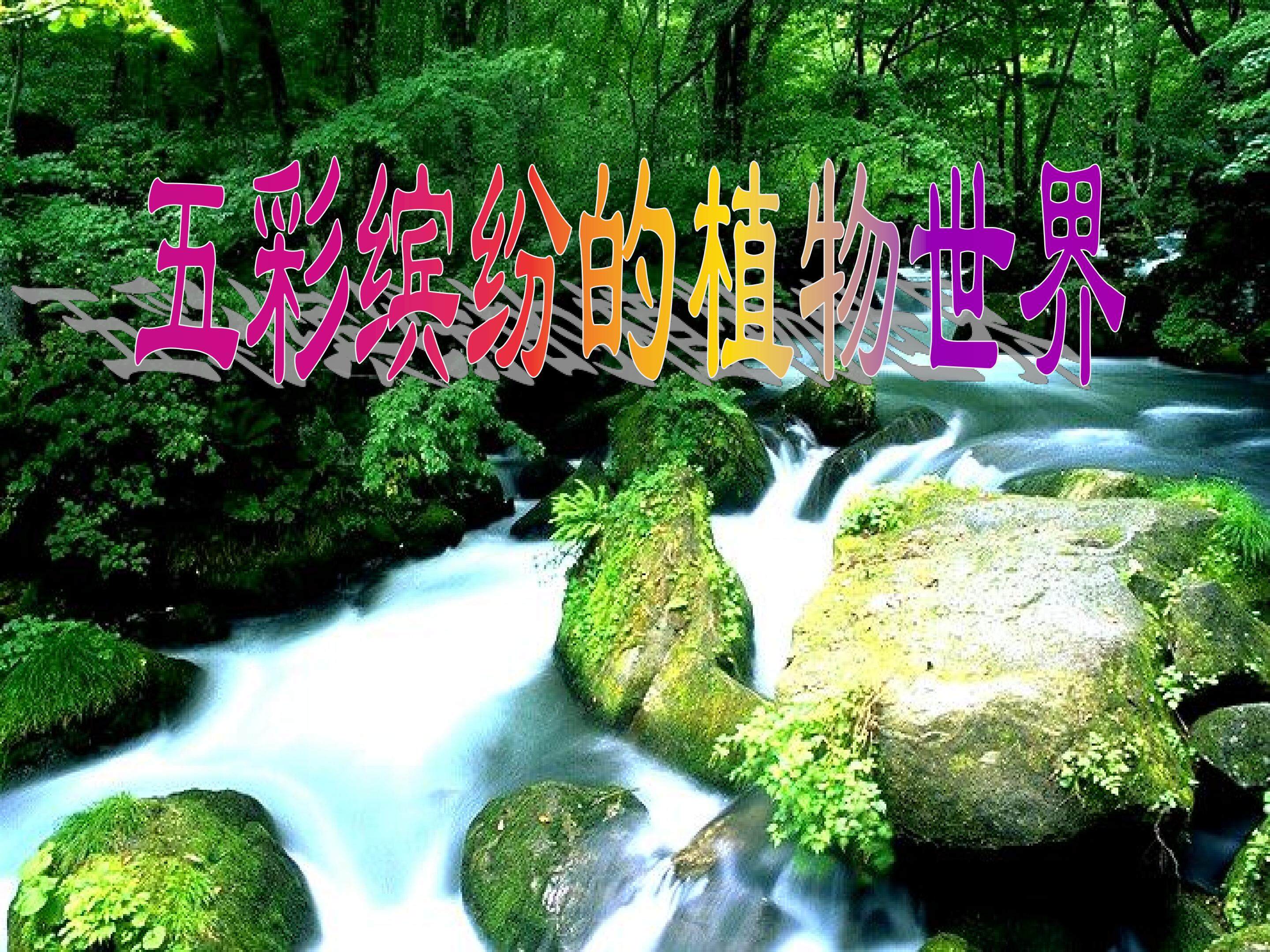 五彩缤纷的植物世界_课件1