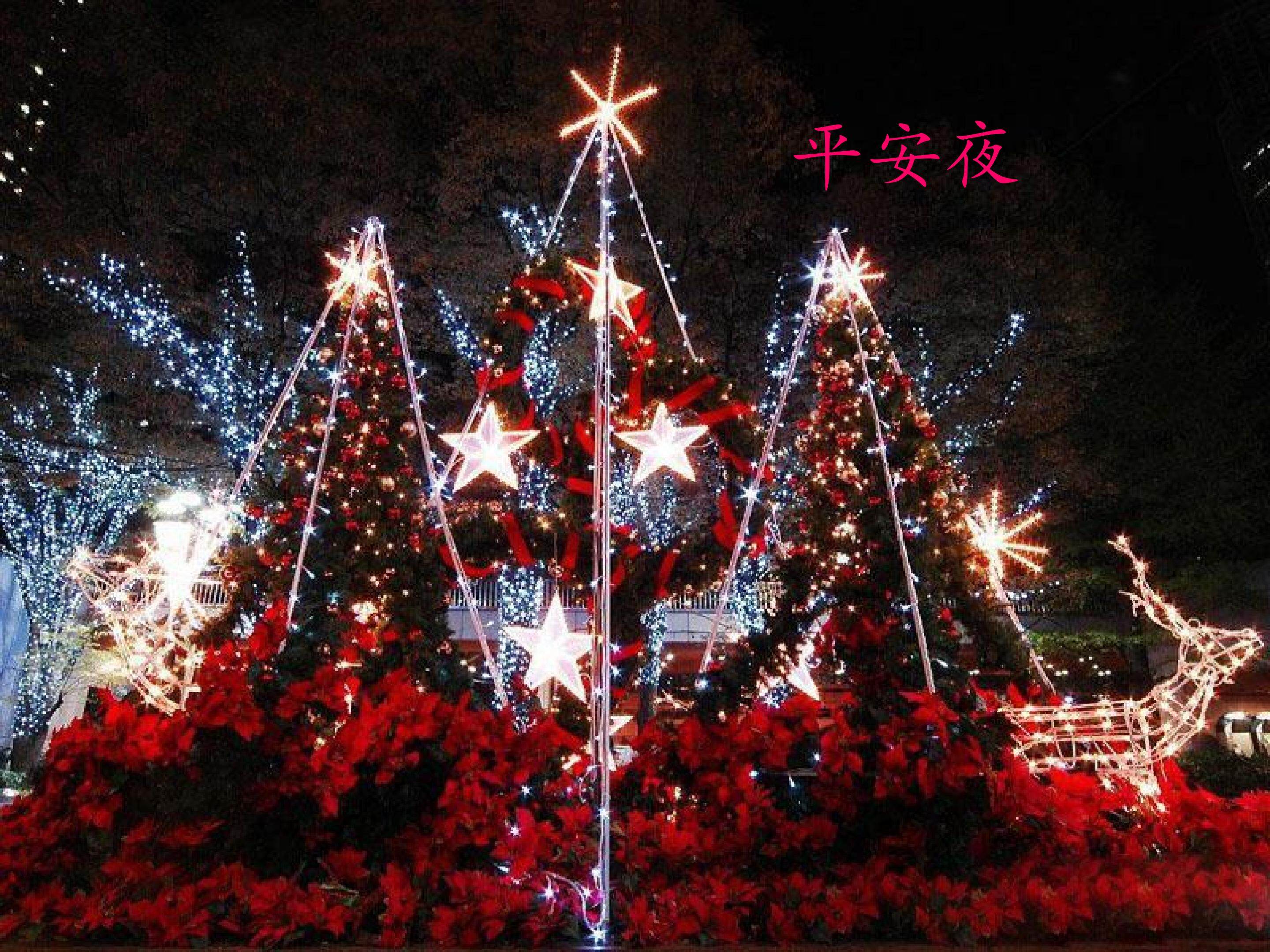唱歌  平安夜_课件1
