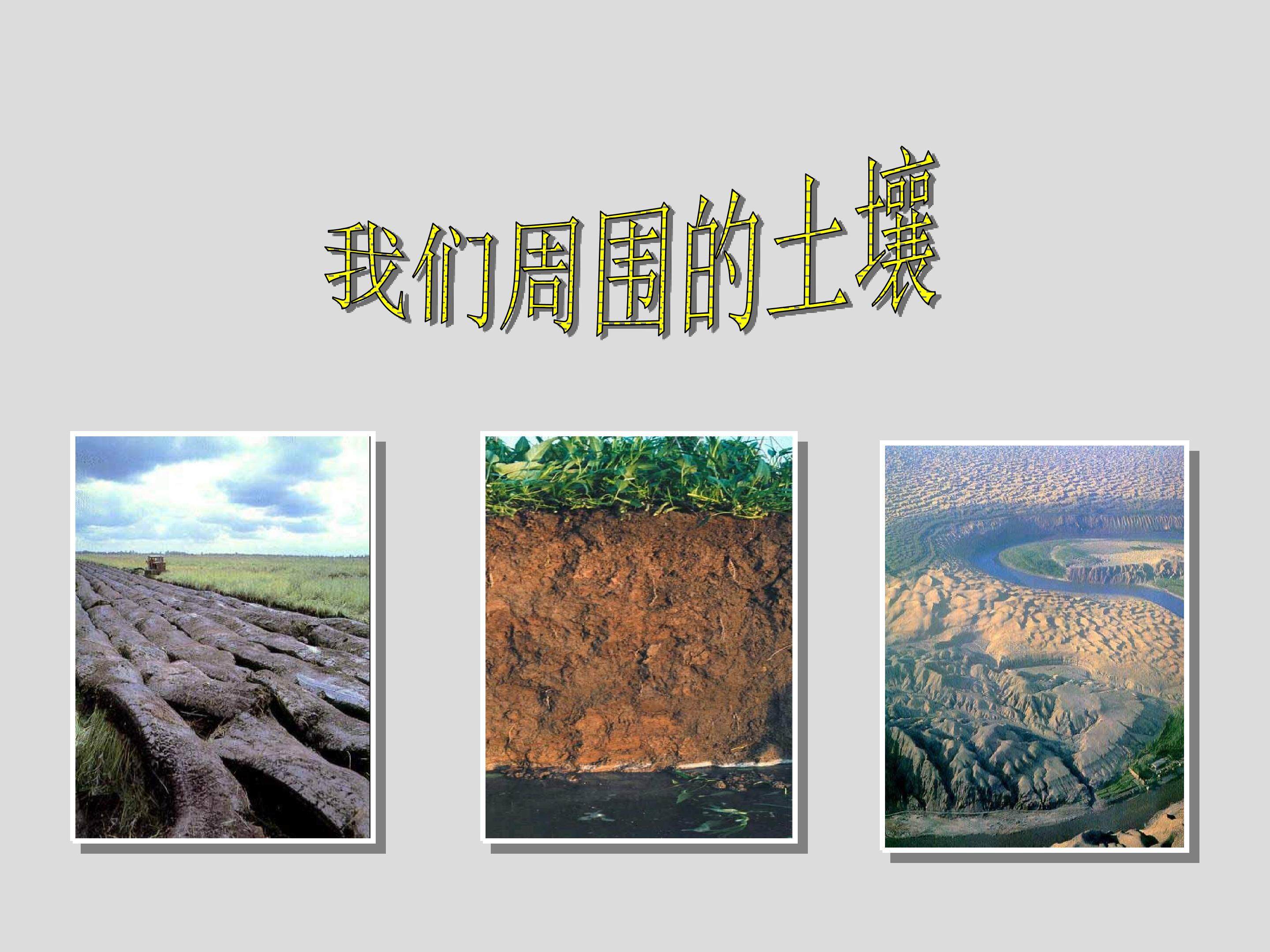 我们周围的土壤_课件1