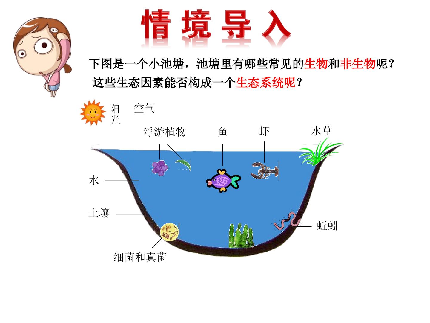 生态系统的组成和类型