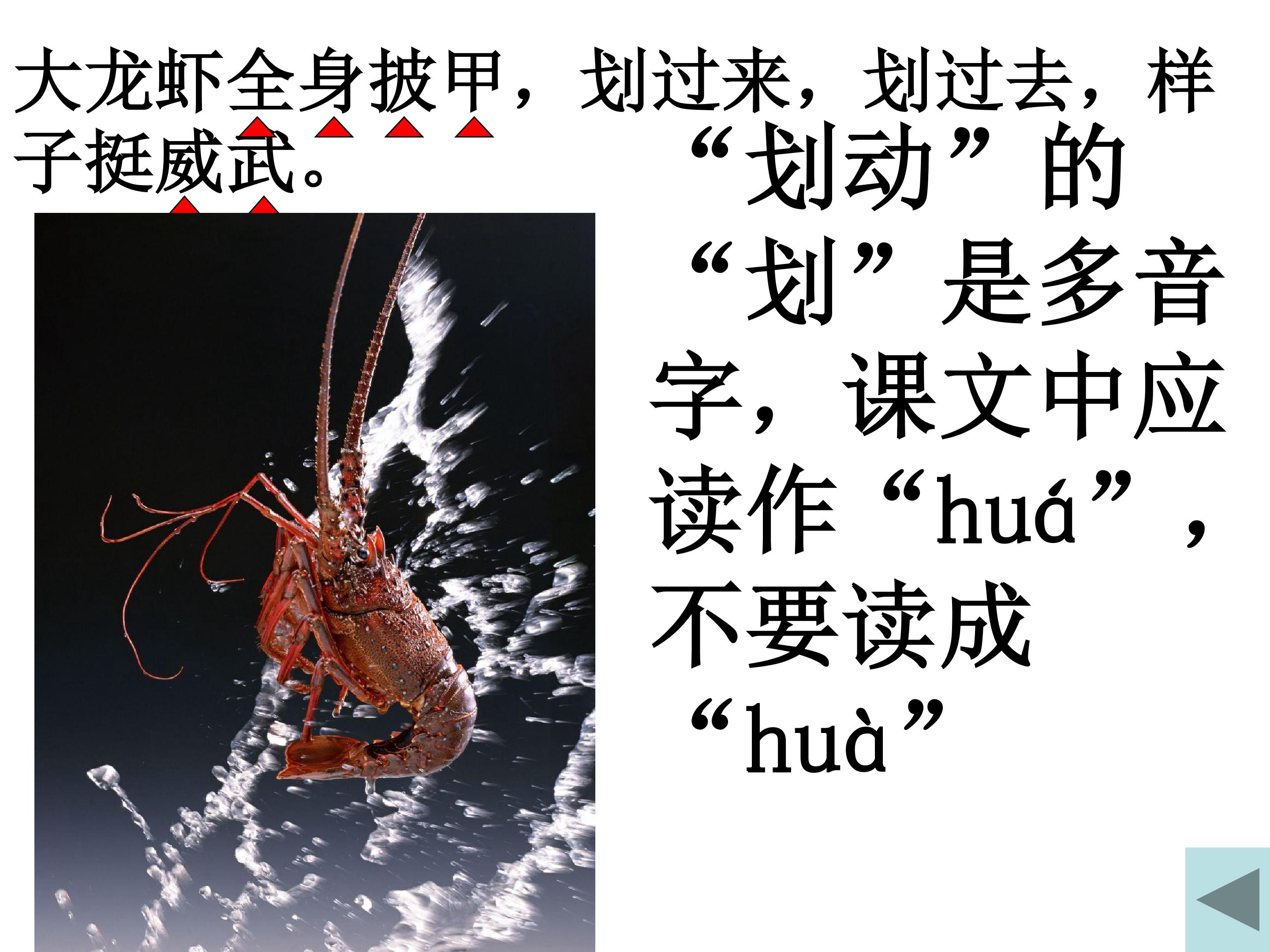 24.jpg