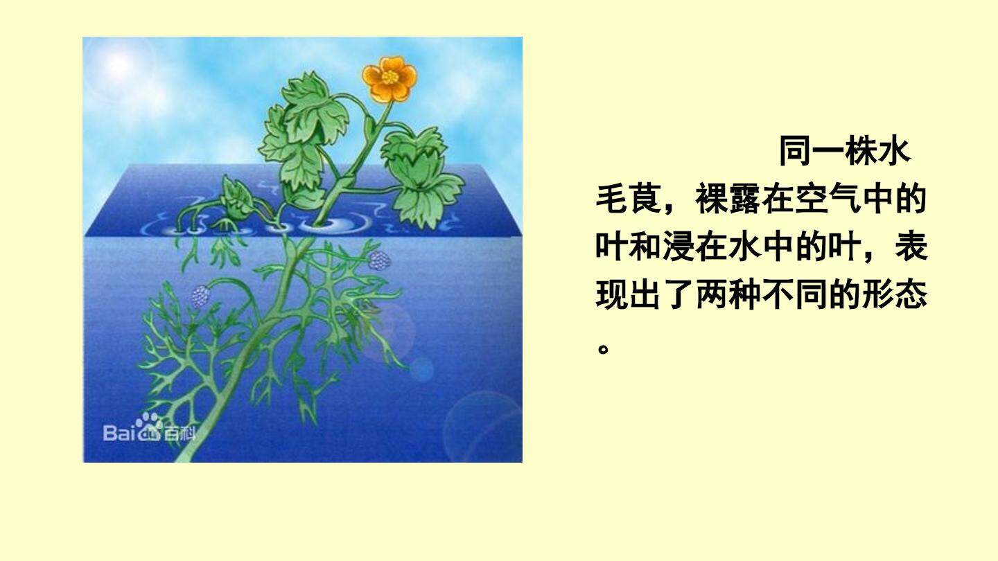 科学前沿  生物信息学