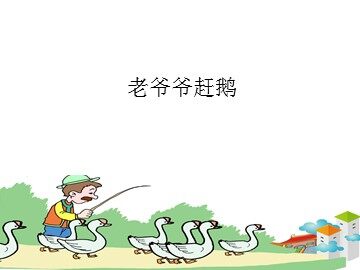 老爷爷赶鹅_课件1