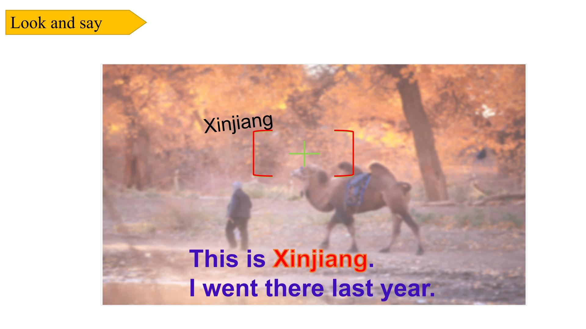 22.jpg