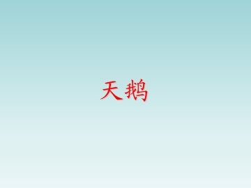 天鹅_课件1