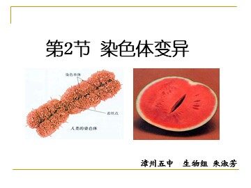 5.2染色体的变异(一师一优课)