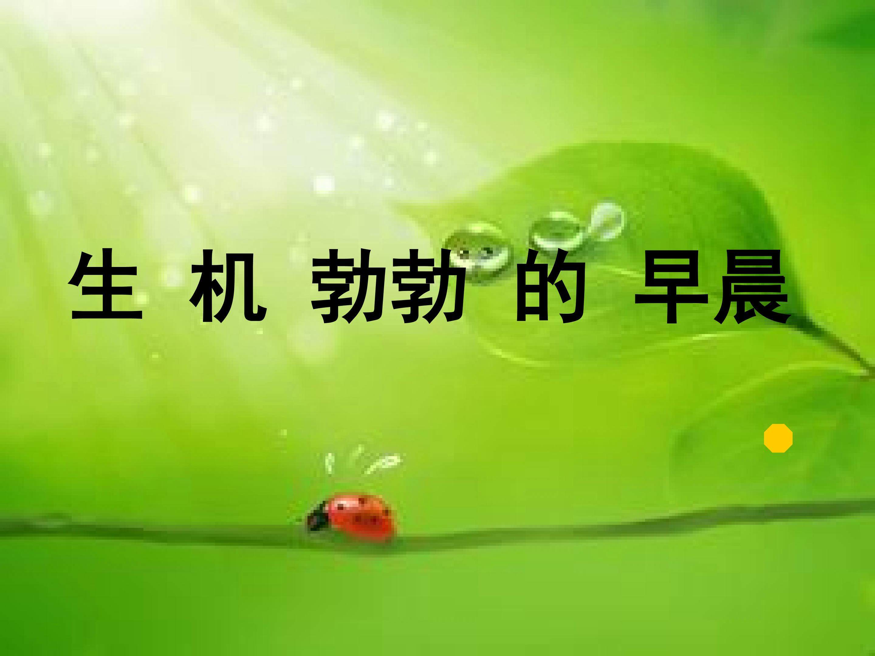 生机勃勃的早晨