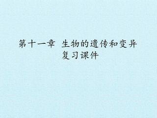 第十一章 生物的遗传和变异 复习课件