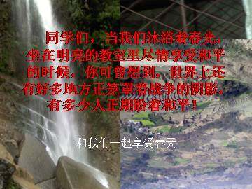 和我们一样享受春天_课件4