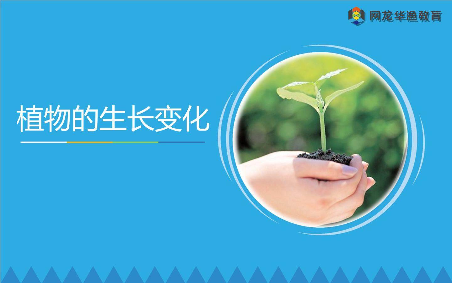 互动课件-《植物的生长变化》