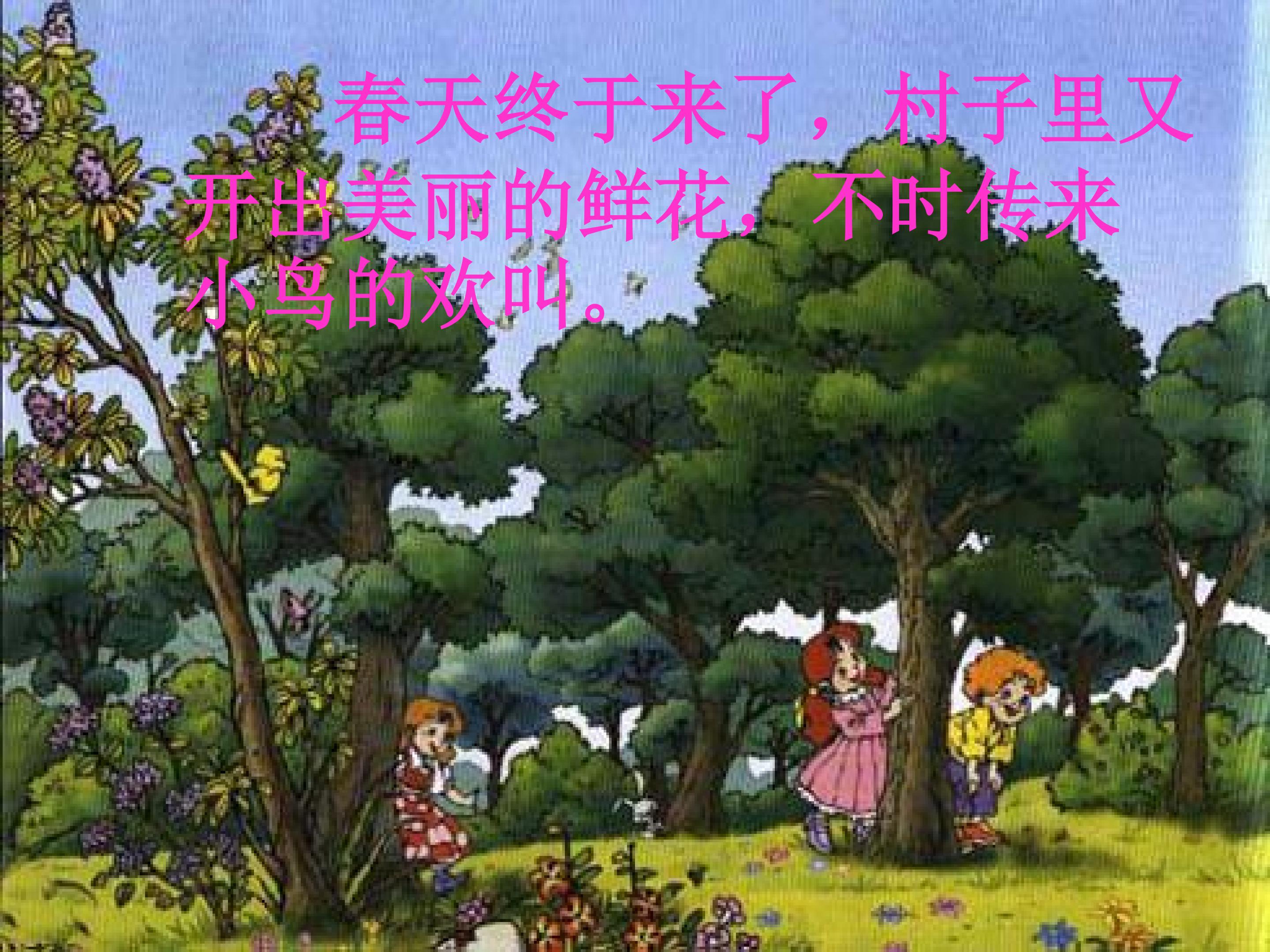 17.jpg