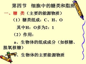 生物高中必修1第二章第二节第四、五课时课件
