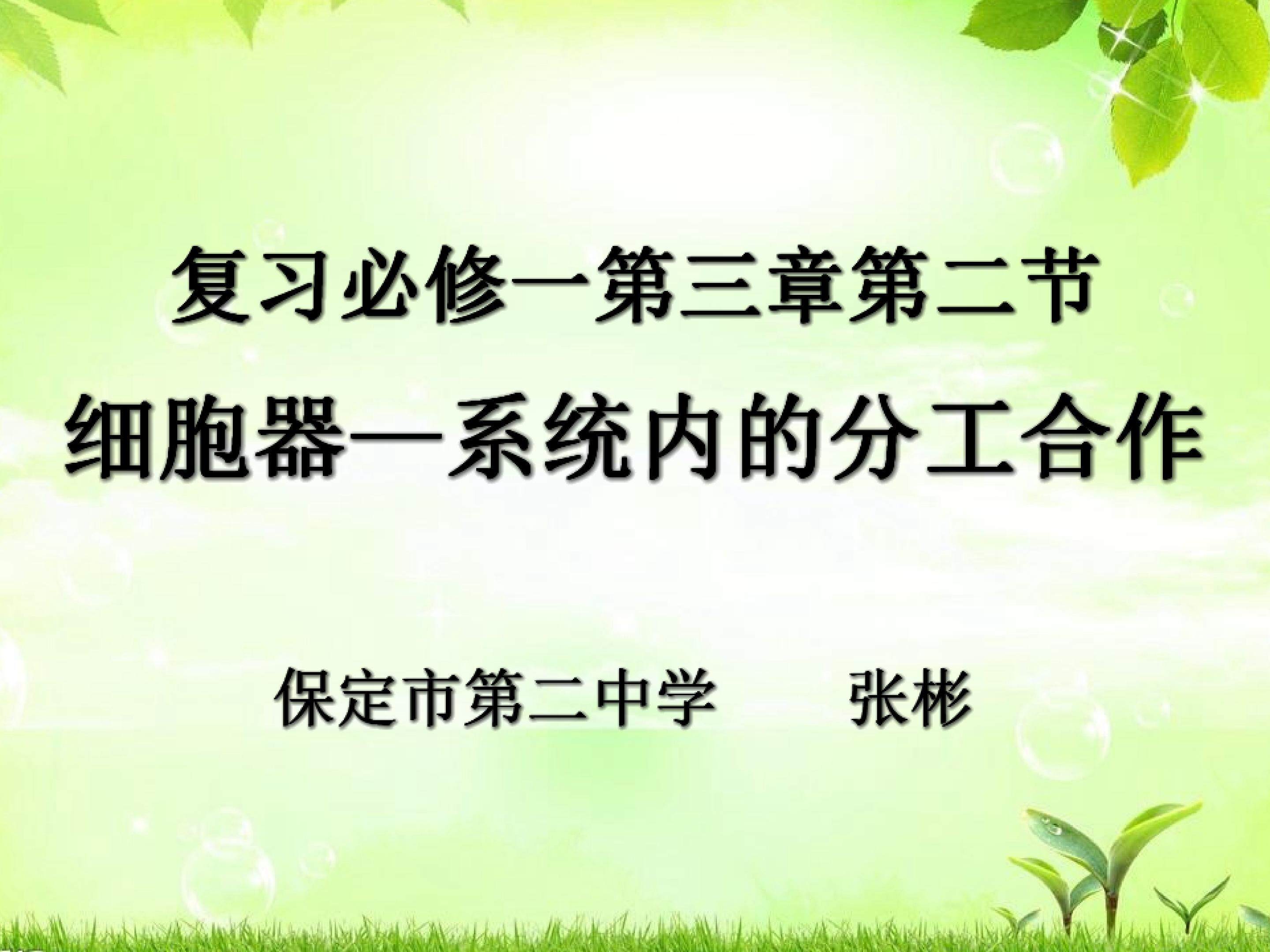 复习细胞器——系统内的分工合作