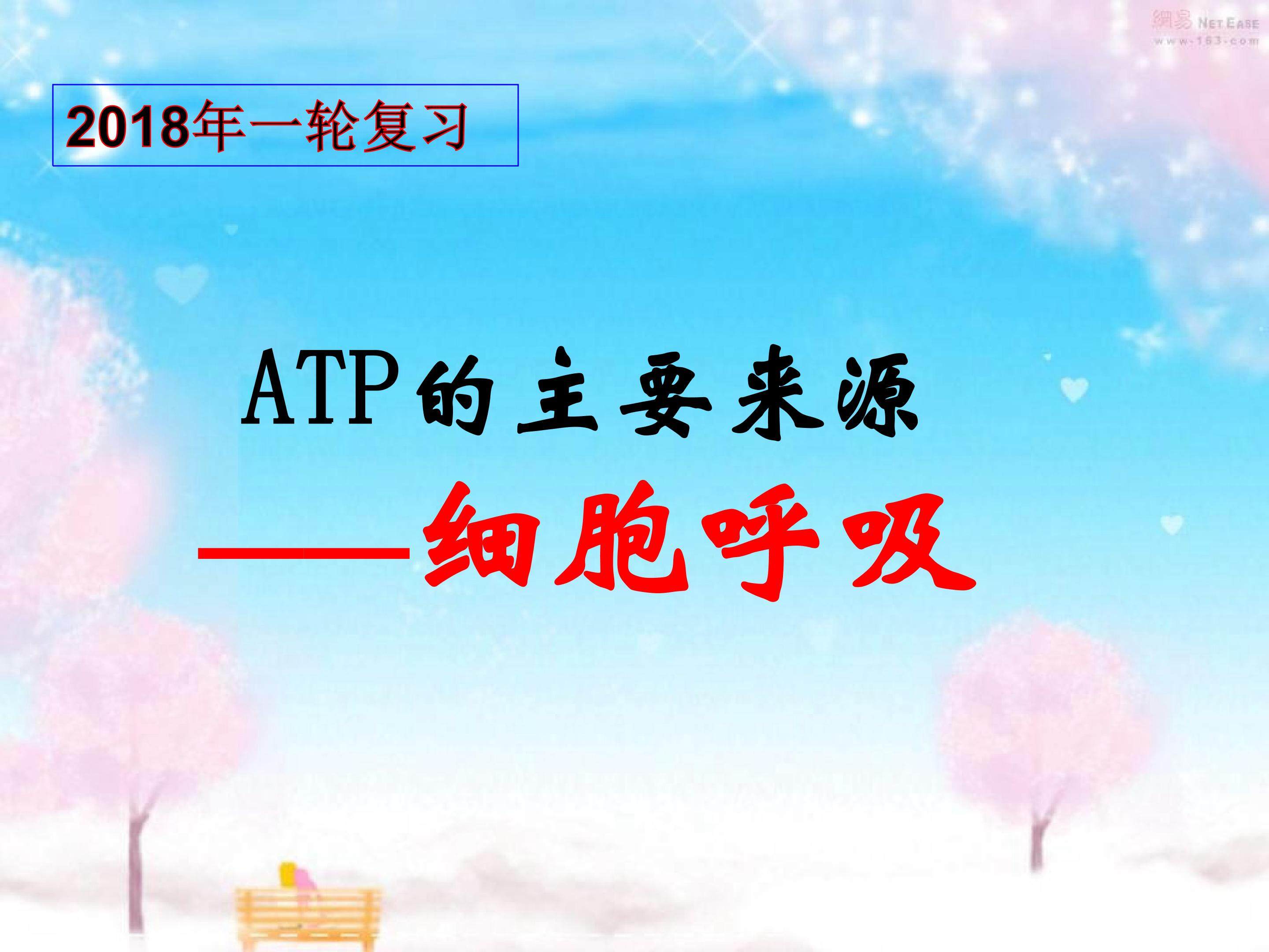 细胞呼吸一轮复习课件
