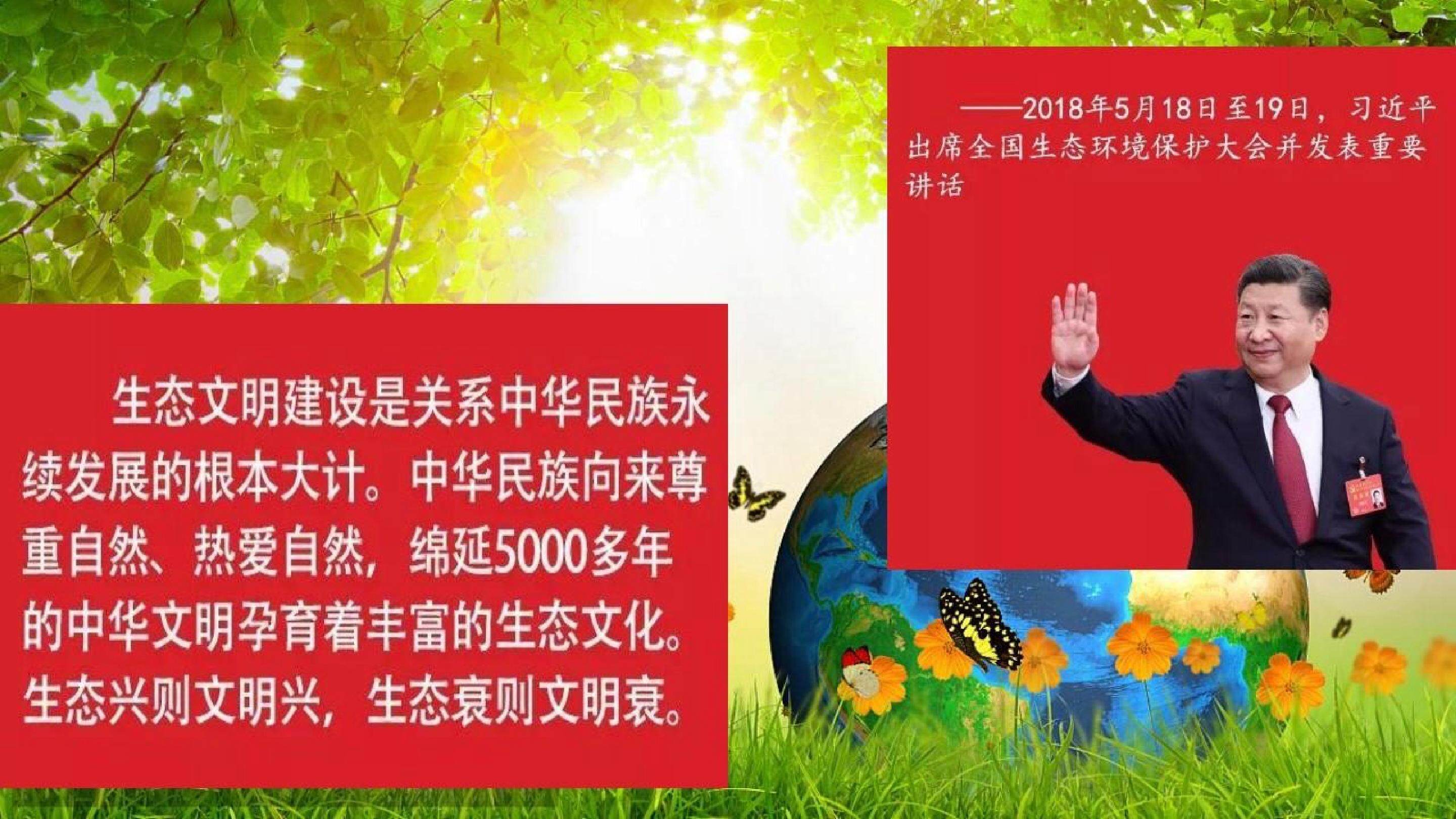 4.2《生物净化的原理及其应用》