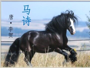 马诗