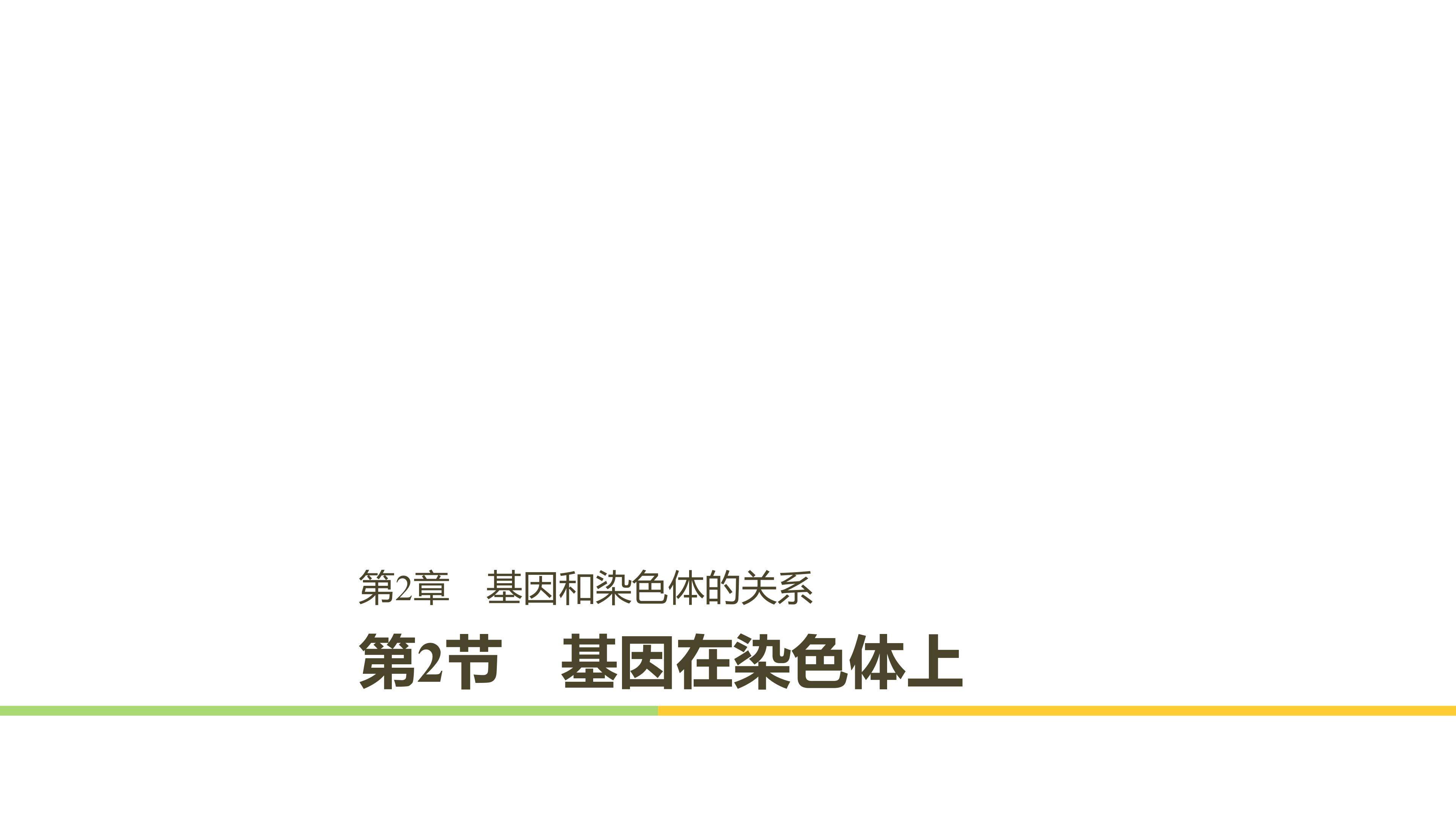 基因在染色体上