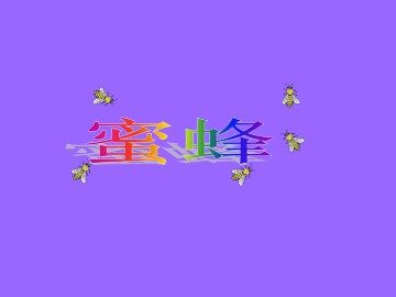 蜜蜂_课件1