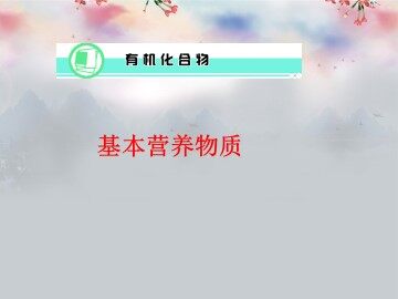 基本营养物质_课件10