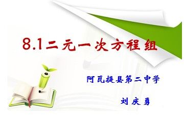 8.1 二元一次方程组