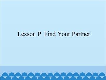 Lesson P  Find Your Partner_课件1