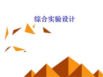 实验 综合实验设计实验_课件2