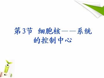 第3节  细胞核——系统的控制中心