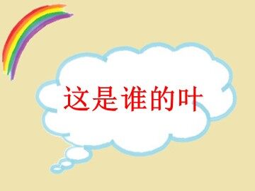 4．这是谁的叶