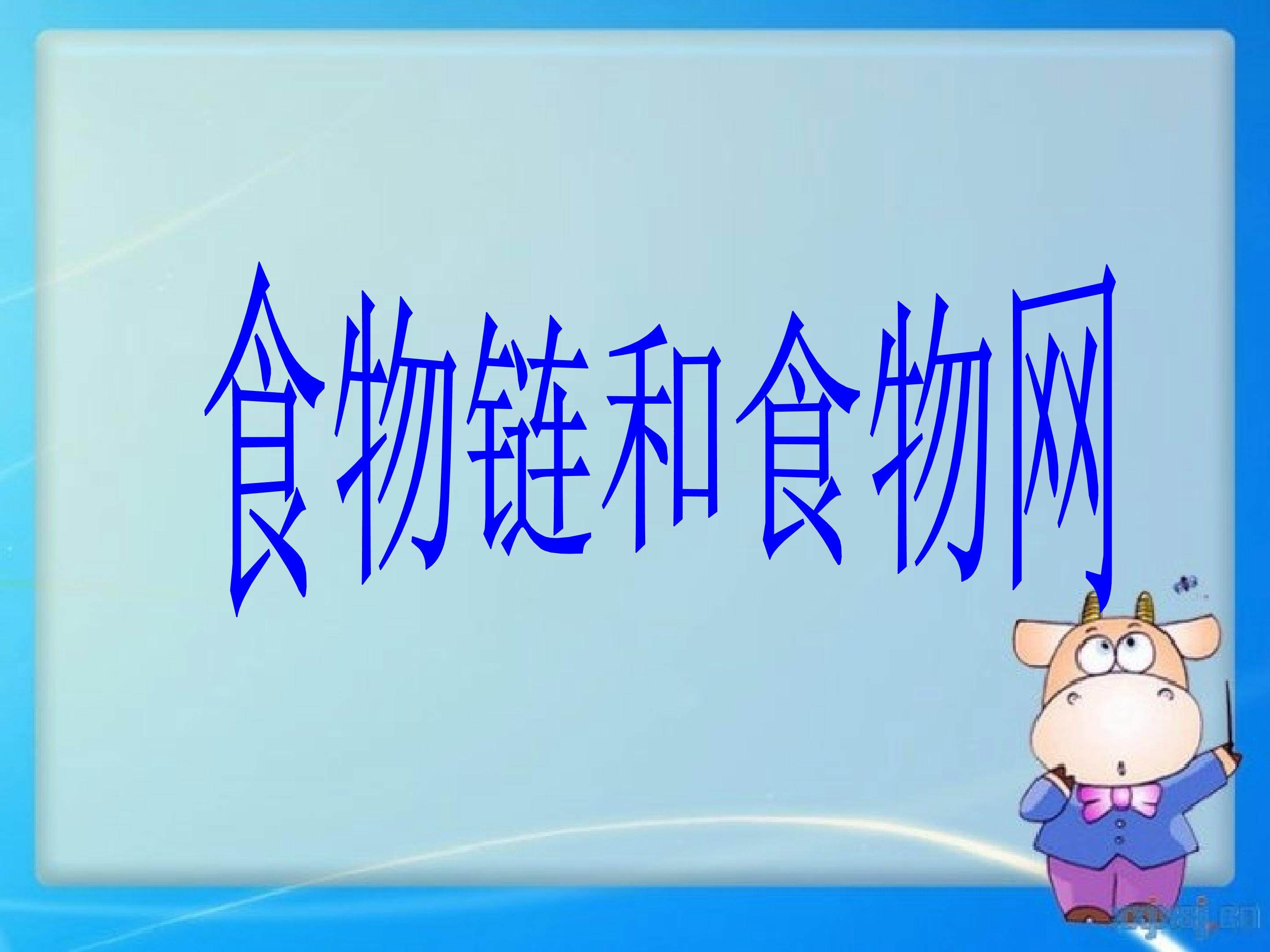 食物链与食物网