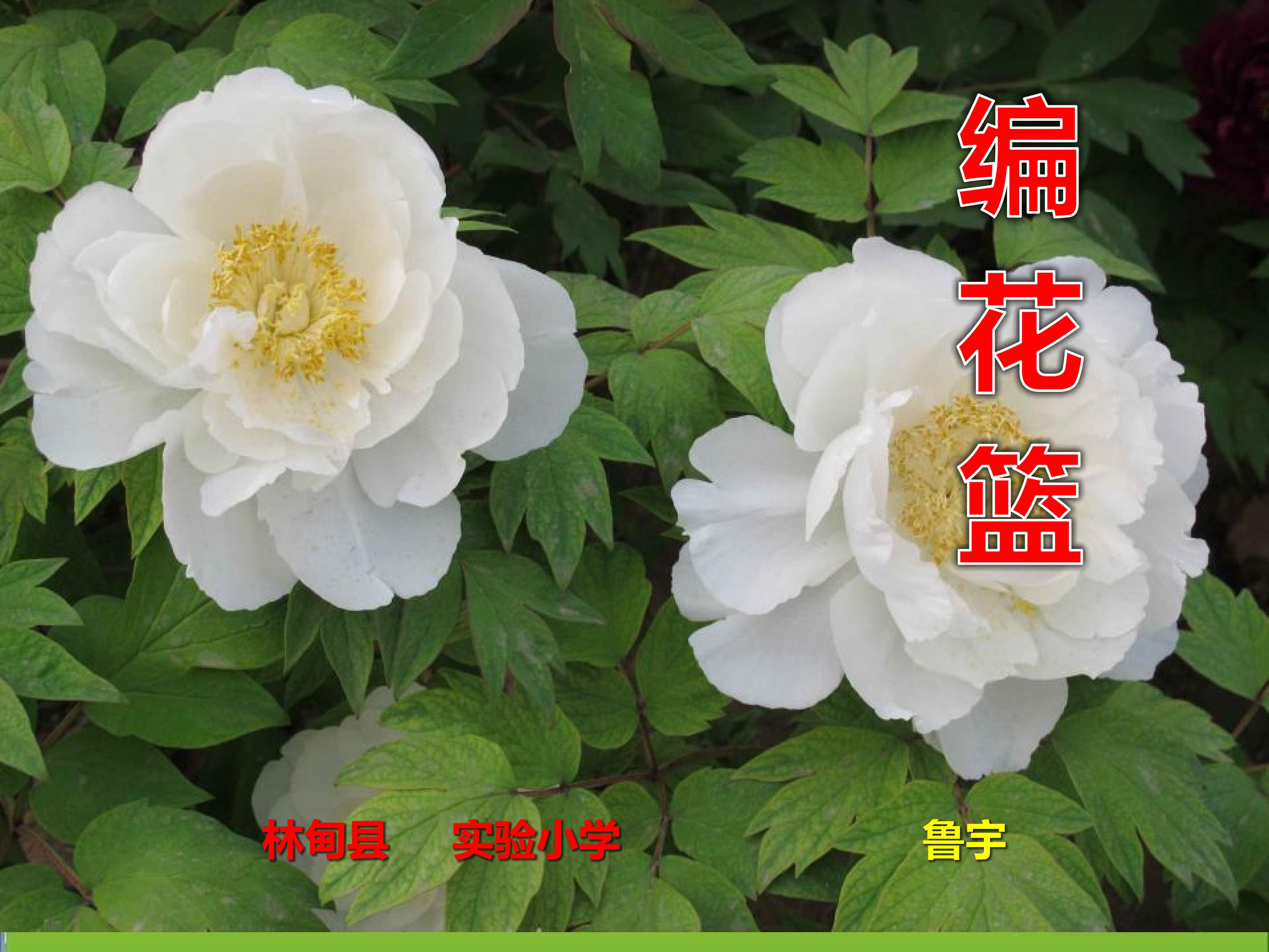编花篮