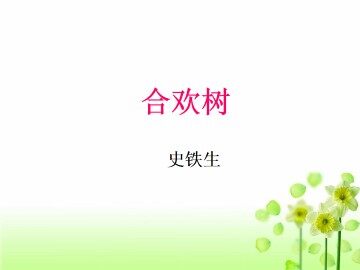 合欢树_课件1