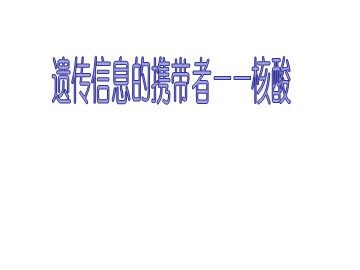 第3节  遗传信息的携带者——核酸