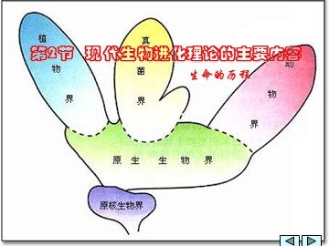 生物高中必修2第七章第二节课件1