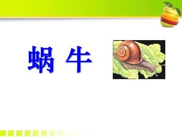2.蜗牛（一）