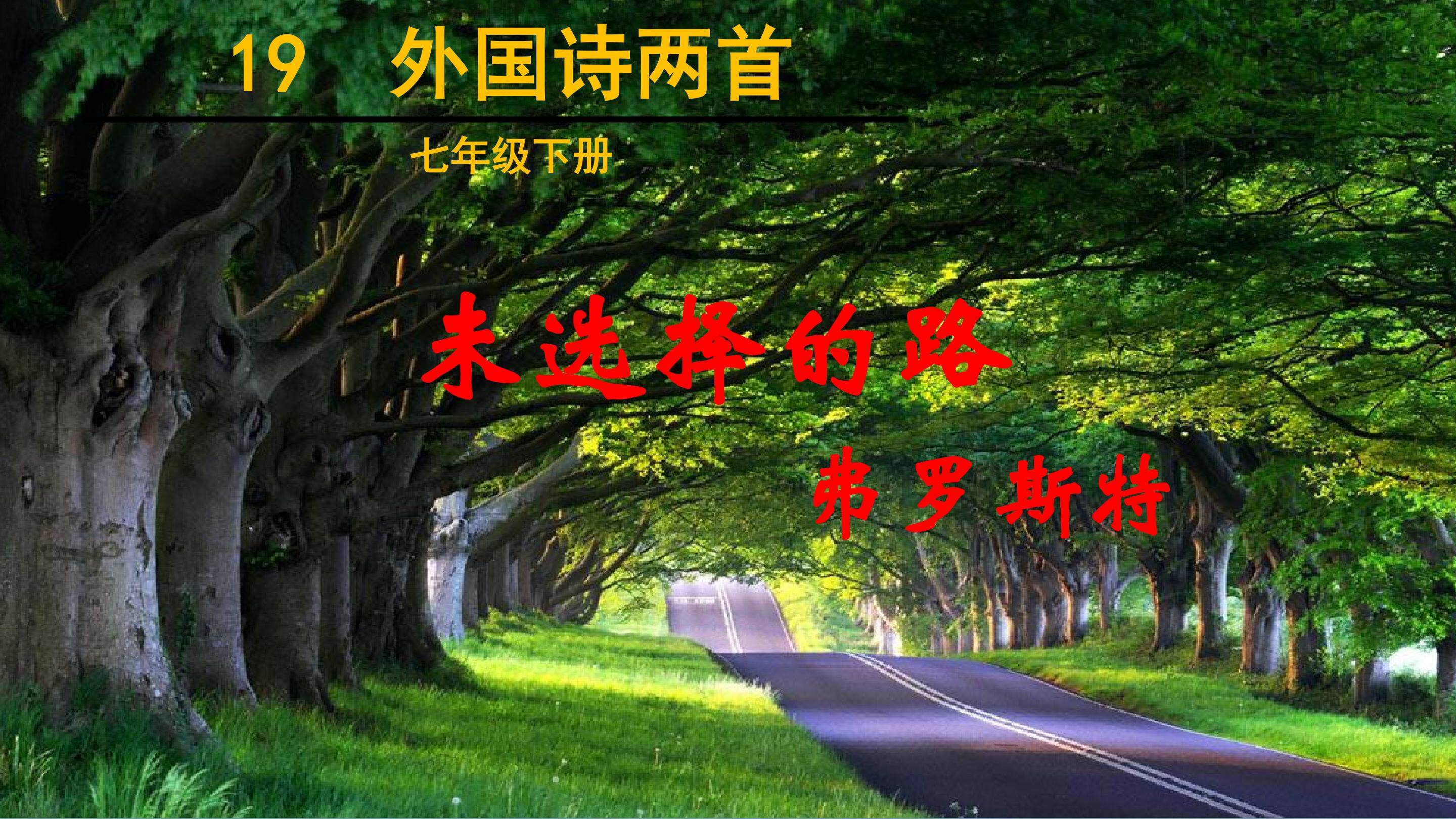 未选择的路