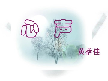 12 * 心声