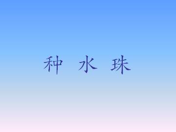 种水珠_课件1