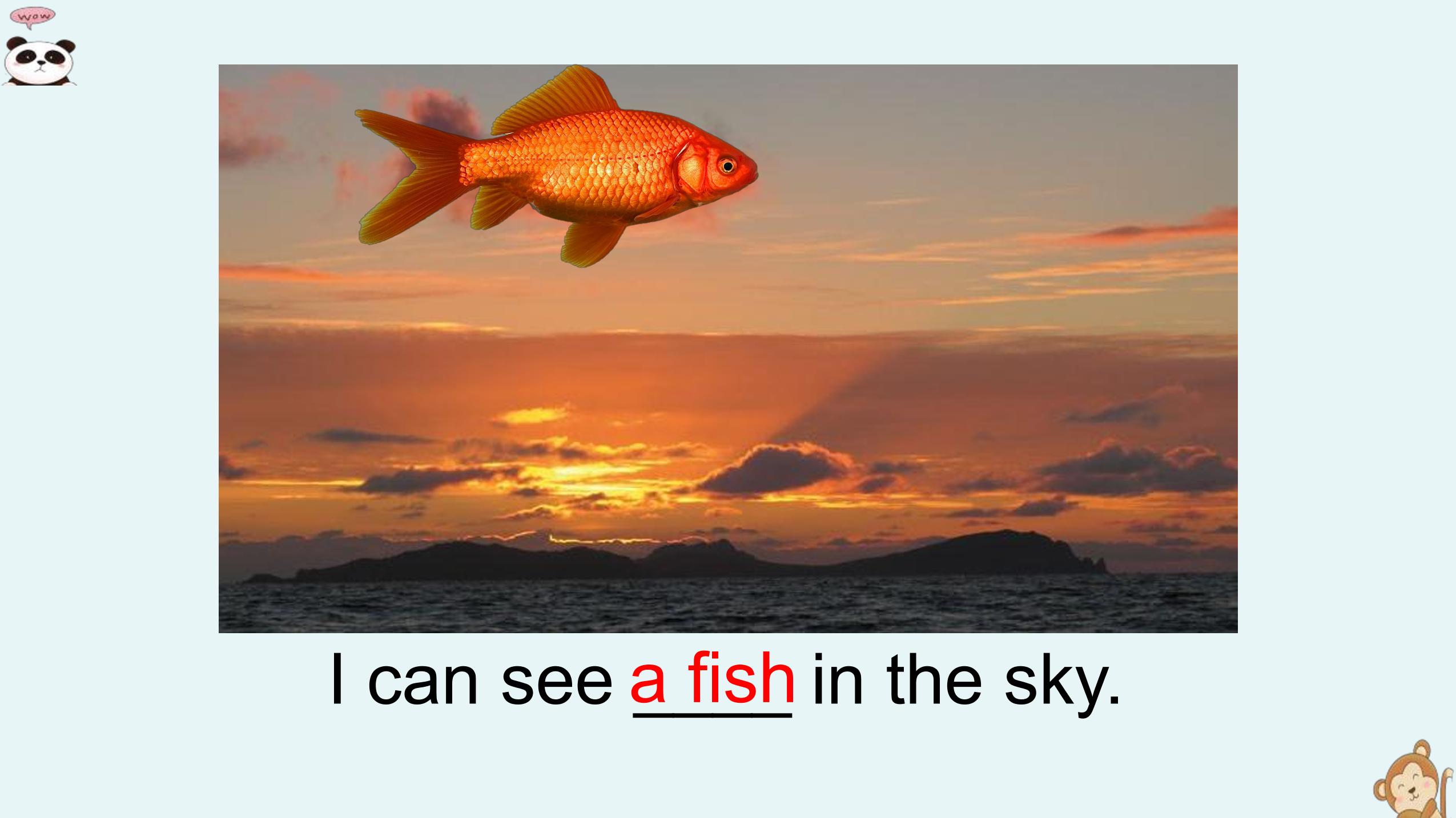 41.jpg