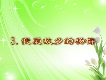 2 我爱故乡的杨梅