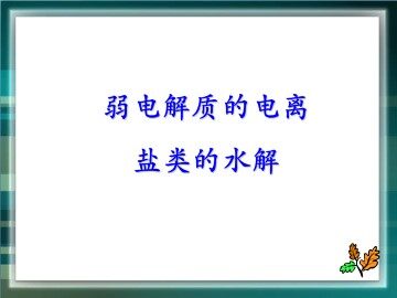 弱电解质的电离 盐类的水解_课件1