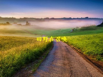 田野在召唤_课件1