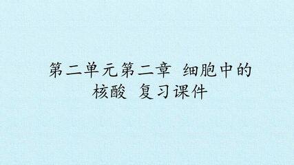 第二单元第二章 细胞中的核酸 复习课件