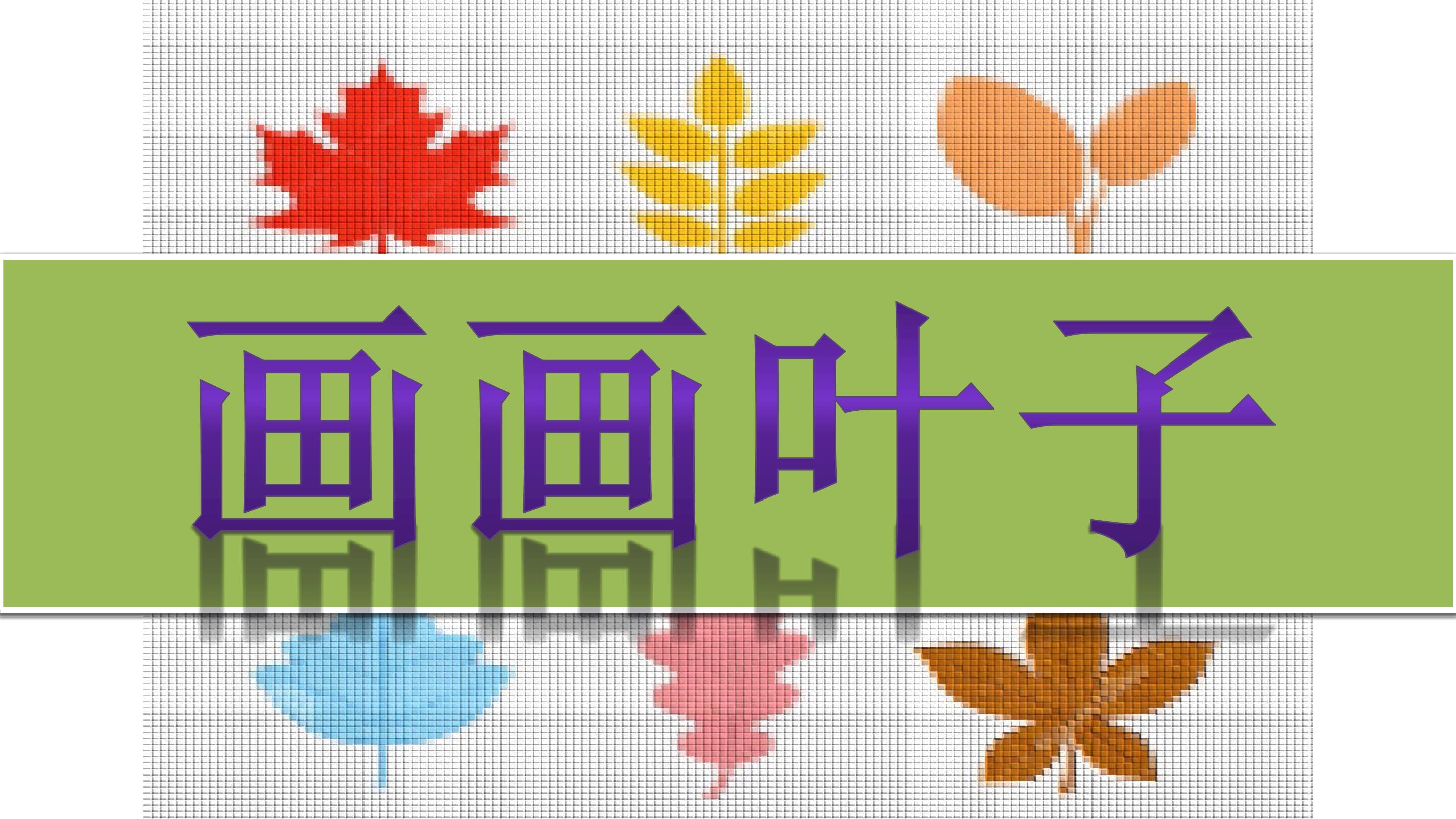 画画叶子