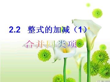 信息技术应用 电子表格与数据计算