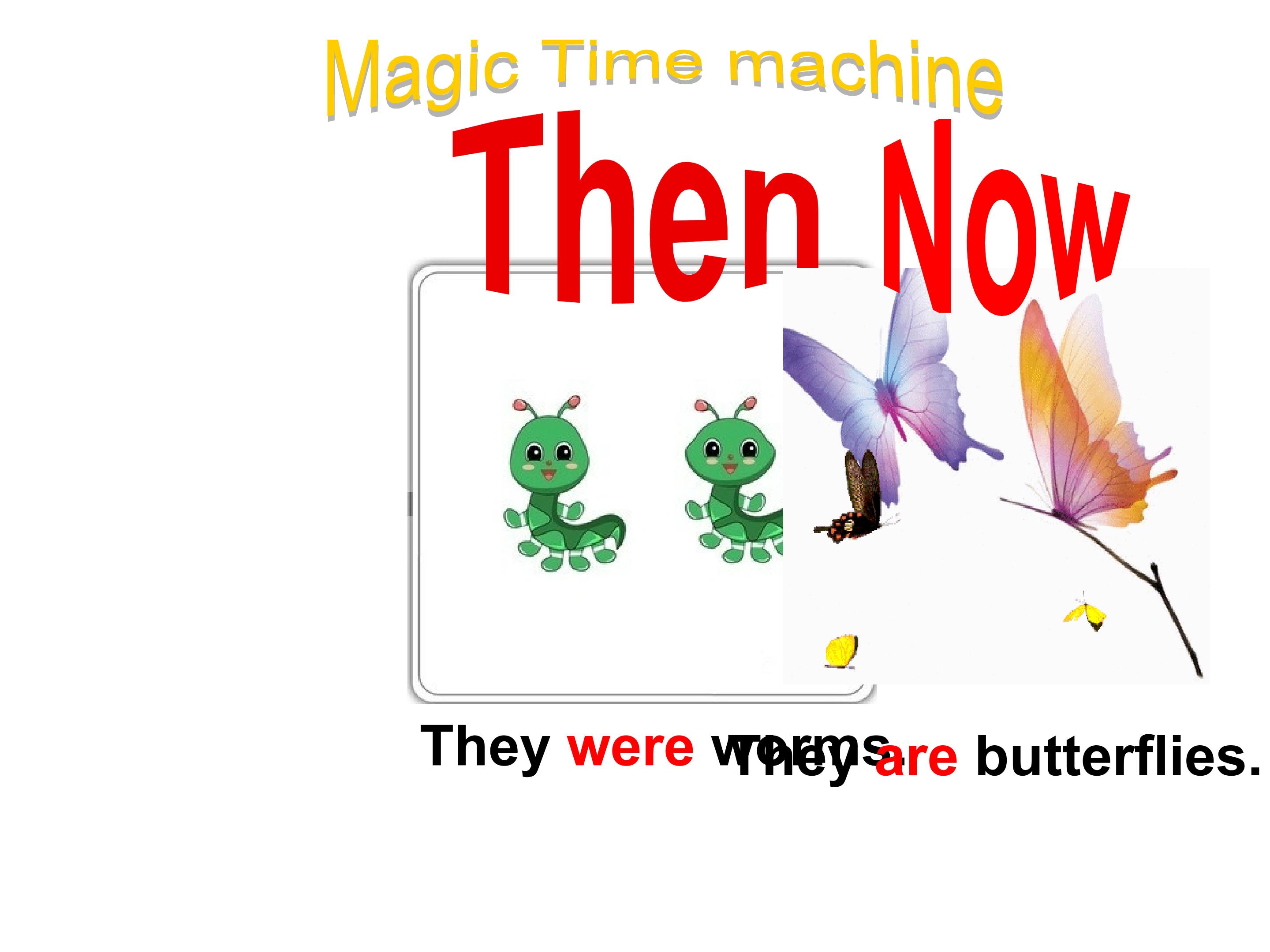 24.jpg