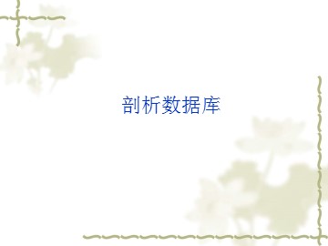 剖析数据库_课件1