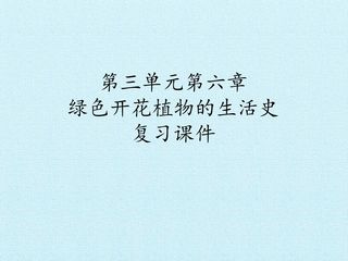 第三单元第六章 绿色开花植物的生活史 复习课件