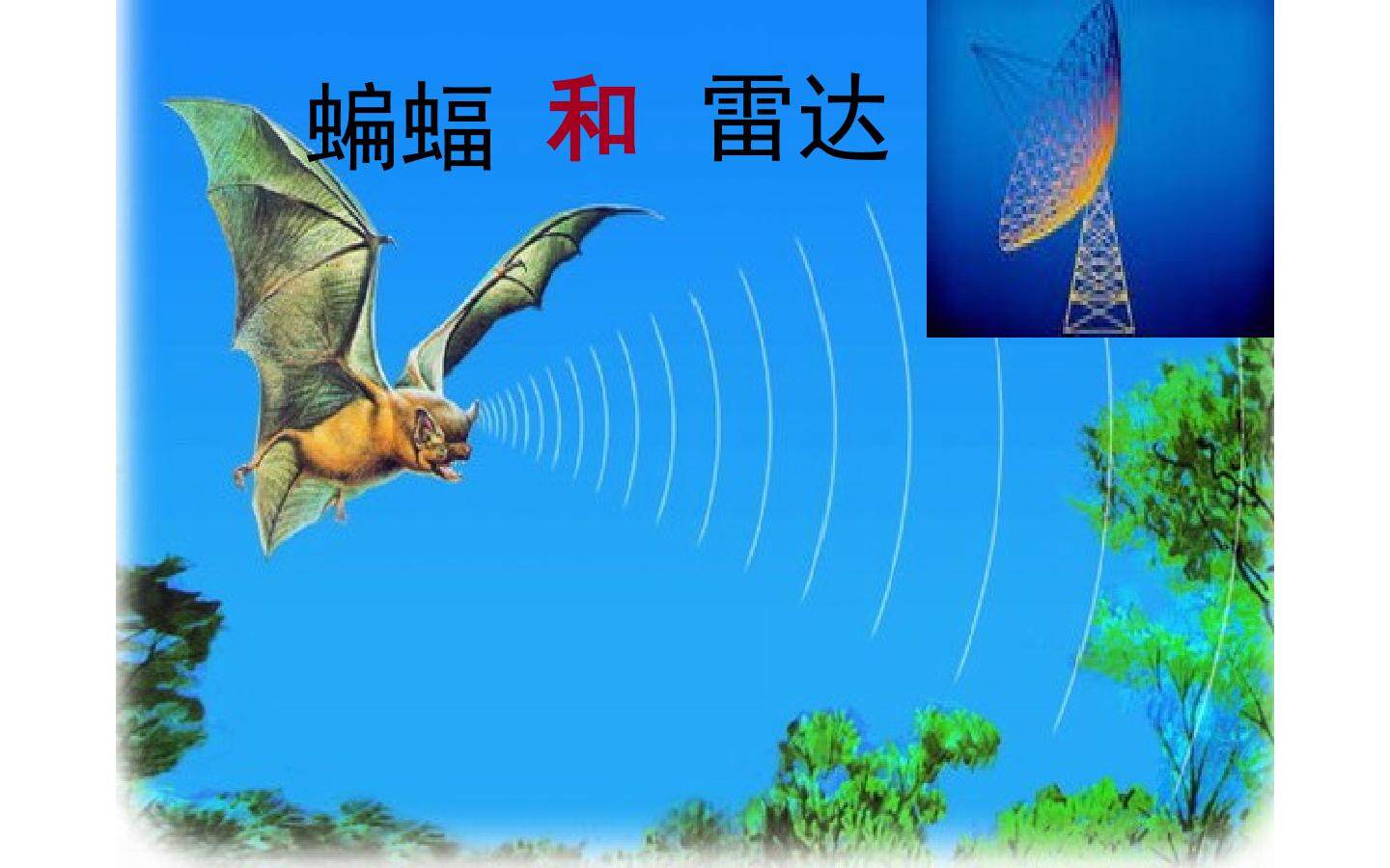 蝙蝠和雷达