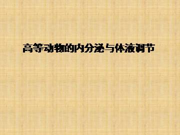 高等动物的内分泌系统与体液调节_课件1