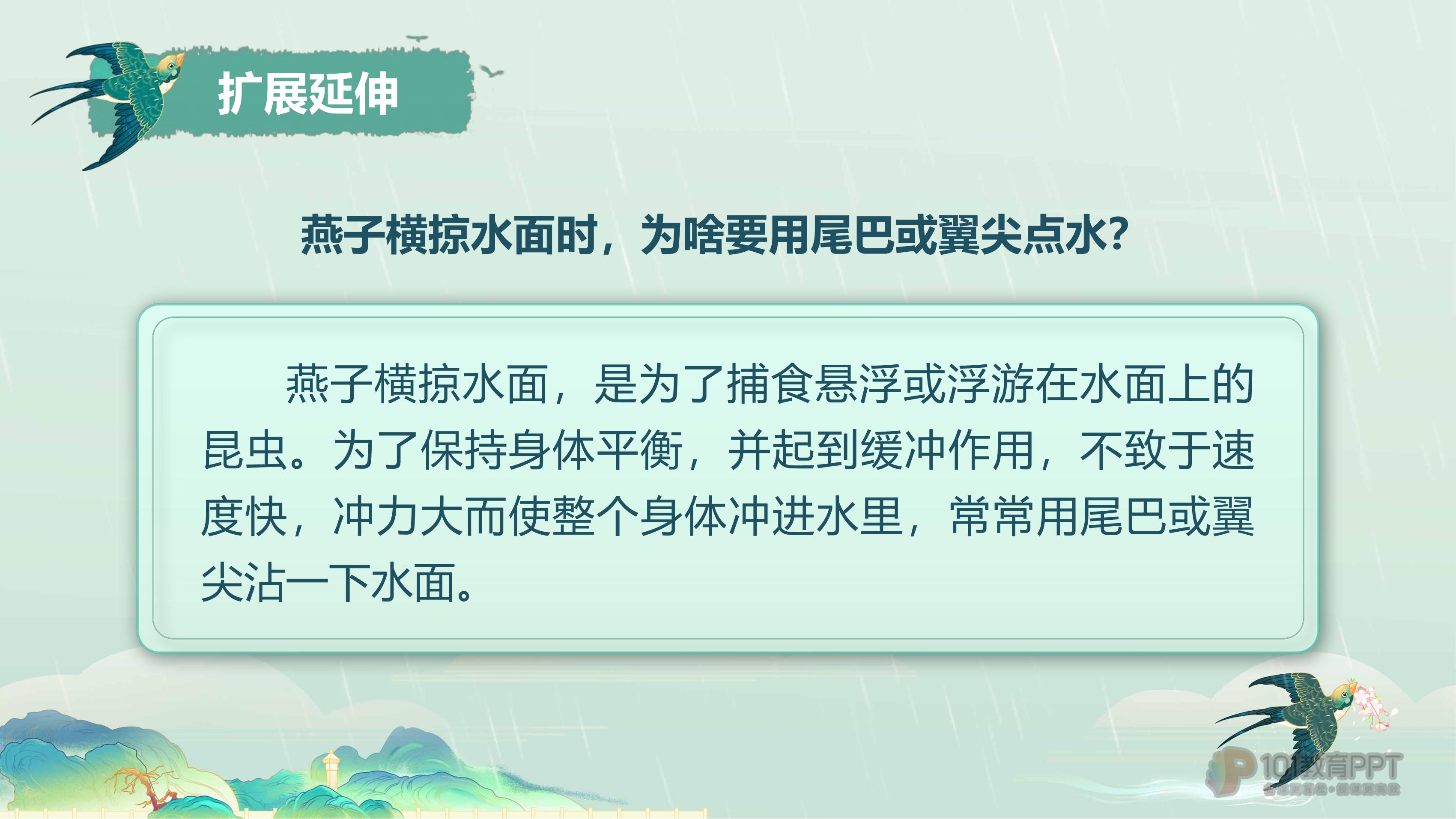 53.jpg